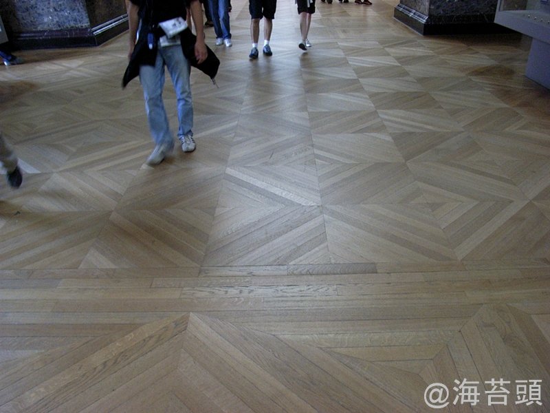 ルーブル美術館の寄木細工の床。本(活字)にハマるきっかけとなった本を久しぶりに読みたいと思った というお話。