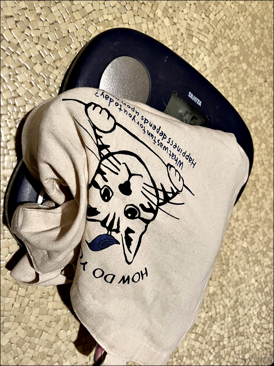 大量の500円玉貯金と小銭貯金の重さは合計5.6kg。硬貨は重い!